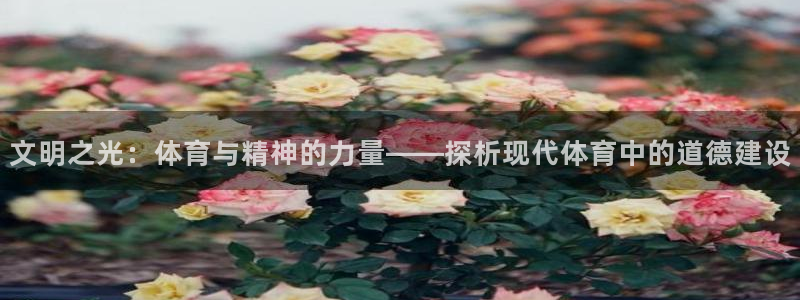 u球体育直播在线观看：文明之光：体育与精神的力量——探析现代体育中的道德建设