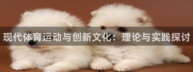 u球体育UFC：现代体育运动与创新文化：理论与实践探讨