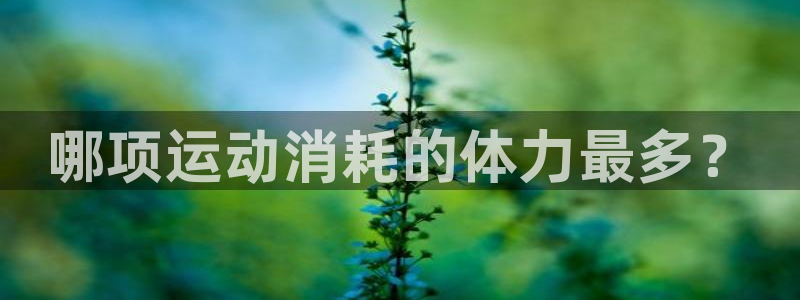 u球体育下载：哪项运动消耗的体力最多？