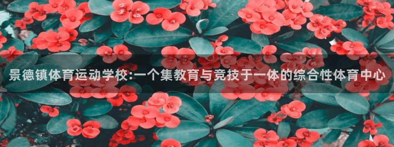 u球体育ios下载：景德镇体育运动学校:一个集教育与竞技于一体的综合性体育中心